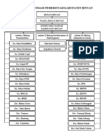 Struktur Organisasi Pemerintah Kabupaten Bintan