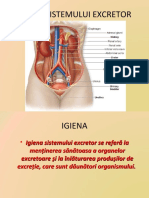 Igiena Sistemului Excretor