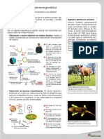 9° Aplicaciones de La Ing. Genética PDF