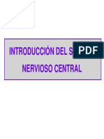Tema 15 Introducción al sistema nervios 