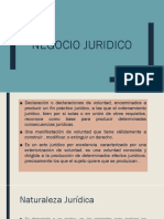 5ta. Clase Introducción II. NEGOCIO JURIDICO