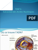 TD N_01_Extraction des acides nucléiques.ppt