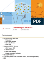 Understanding of LDAP in DSS: Jan 2010 by Vineet Chauhan