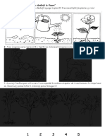 9.04.2019_stiinta_de_la_samanta_la_floare.doc