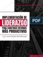 Implementación de Liderazgo