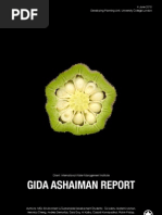 Download GIDA Ashaiman Report by The Bartlett Development Planning Unit - UCL SN48167031 doc pdf