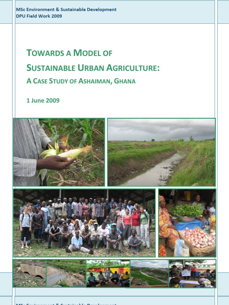 Sustainable Urban Agriculture in Ashaiman | PDF | Organic Farming ...