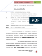 1º INFORME DE PRACTICAS PROFESIONALES CJG