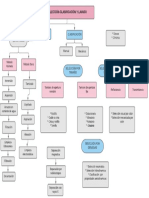 Clasificación .pdf