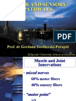 Motor and Sensory Pathways: Prof. DR Gordana Teofilovski-Parapid