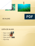 As Algas