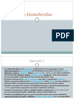 As Biomoleculas