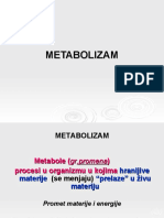 10 Metabolizam