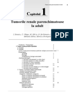 288401081-Tumori-Renale.doc