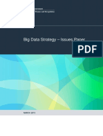 Big-Data-Strategy-Issues-Paper1.pdf