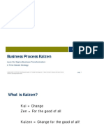 TheKaizenProcess (Ruiter)