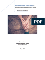Accidente de Tráfico-Guía de Pautas Psicoeducativas, Carmen E. Veloz PDF