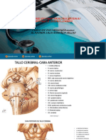 Imágenes Examen Práctico Psciob 2020 01 PDF
