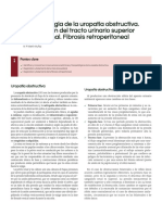 Fisiopatología de la uropatía obstructiva aguda y crónica