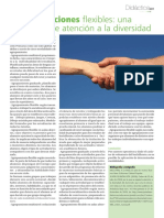 Agrupaciones Flexibles PDF