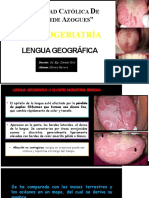 Lengua Geográfica