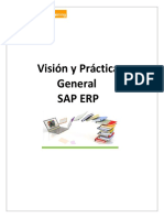 Vision y Practica Gral. SAP 2020