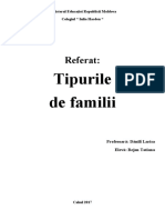 Tipurile de familii