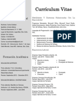 Curriculum Esteban PDF