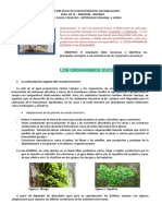 Guia 15 Biologia PDF