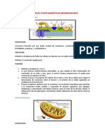 ORGANELOS MEMBRANOSOS.docx