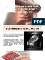 7. Sufrimiento fetal y bienestar fetal (Dr Otero).pdf