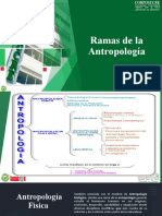 Clase N. 3 - Ramas de La Antropologías