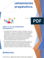Acompan771amiento_Terape769utico.pdf