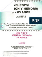 NEUROPSI Láminas.pdf
