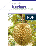 durian info.pdf