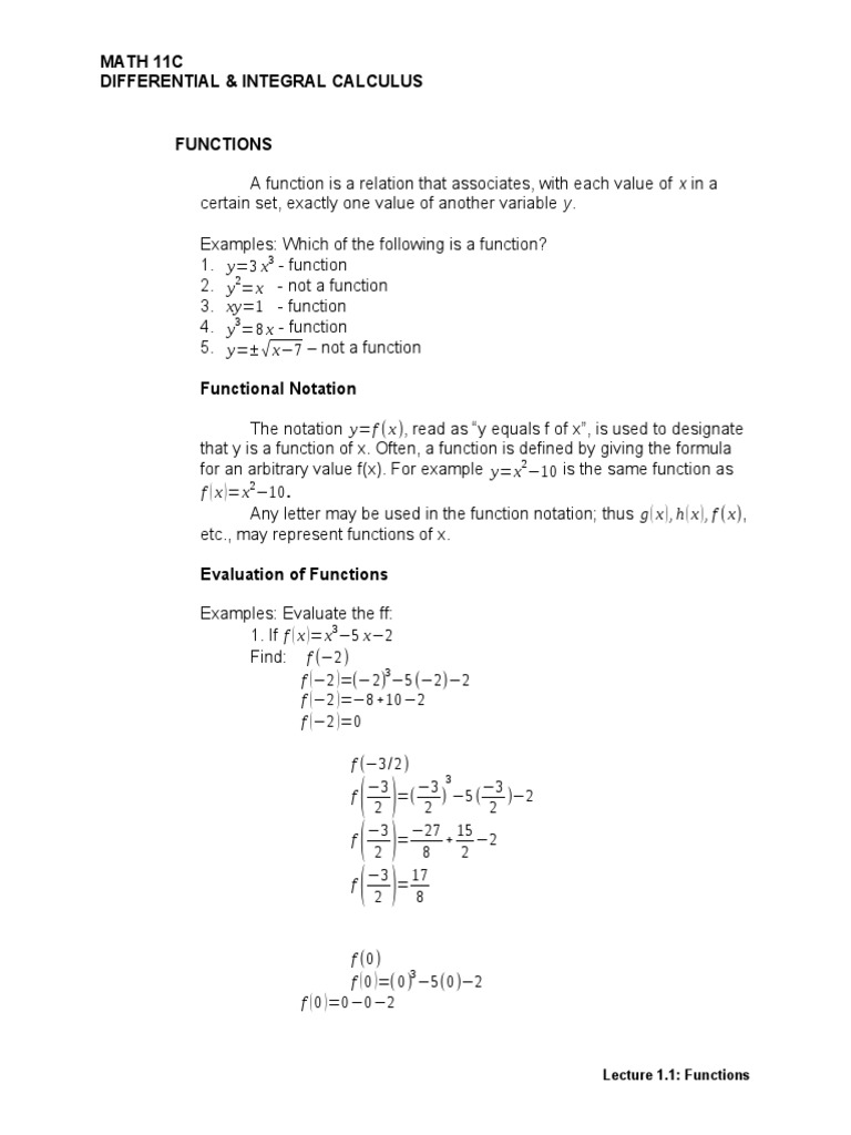Understanding Functions in Calculus | PDF | Variable (Mathematics ...
