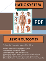 Chapter 3 - Lymphatic System