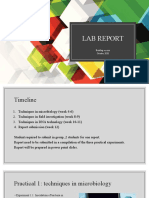 Lab Report: Briefing Session October 2020
