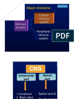 intro_neurology