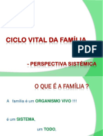 Ciclo Vital da Família_Dina Carvalho