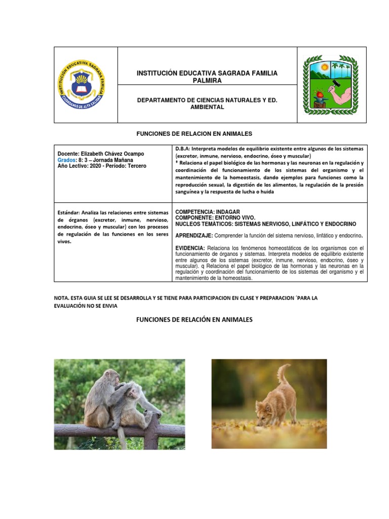Funciones de Relacion en Animales PDF | PDF | Sistema nervioso | Neurona