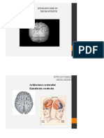 Introducere in neurostiinte curs 2