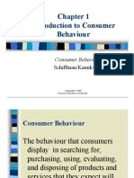 Introduction To Consumer Behaviour