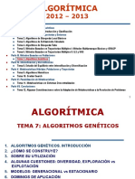 Tema07 AlgoritmosGeneticos 12 13