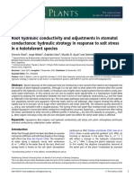 Root hydraulic conductivity adjustments in response to salt tolerance in beet plants