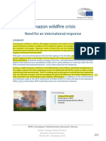 Amazon Wildfire Crisis: Need For An International Response