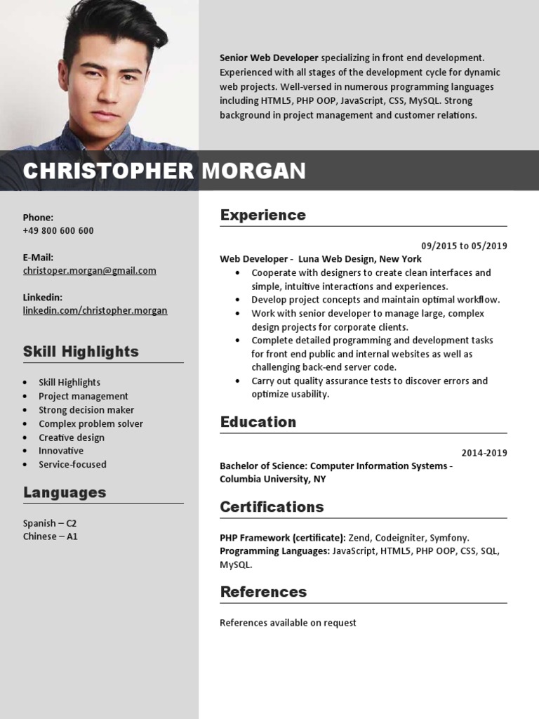 Senior Web Developer Resume Overview | PDF