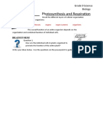 Photosynthesis Science 9