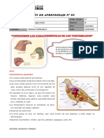 Aves y mamíferos: características generales