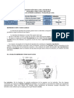 SAB C4, C.Naturales, Reproducción Humana..